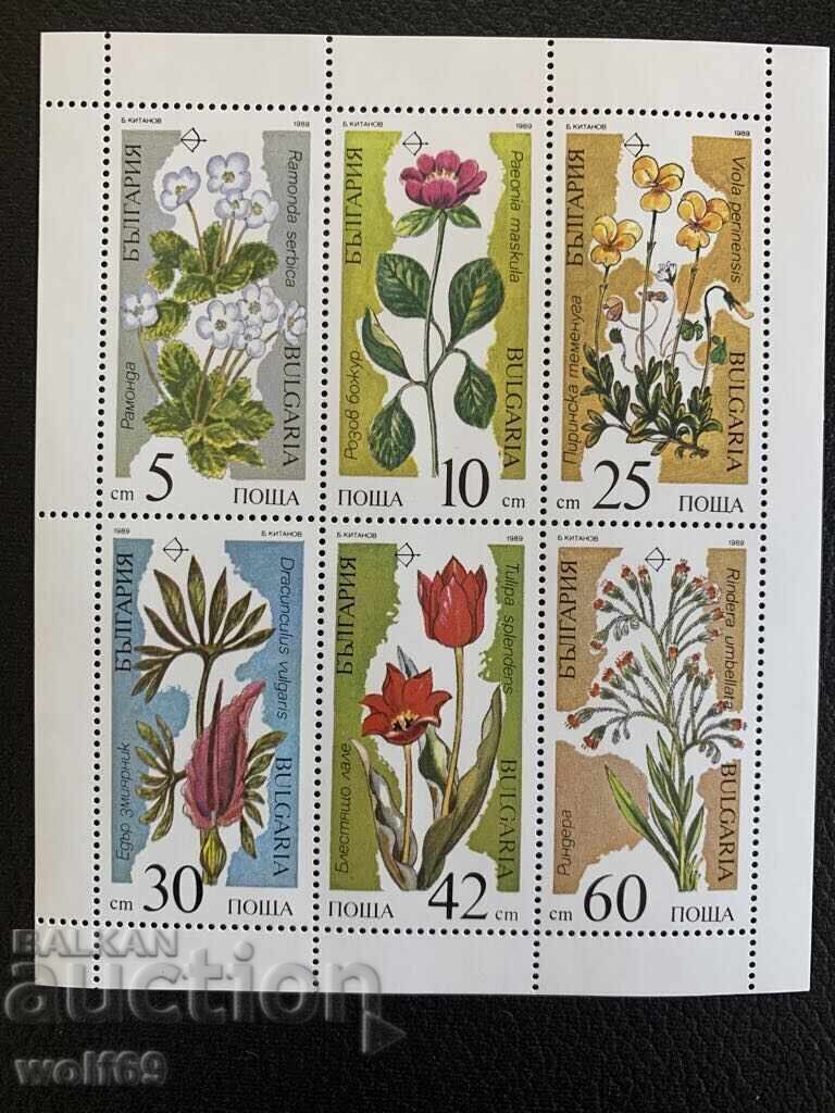 Small sheet of stamps - Plants in danger of extinction - 1989. Small sheet of stamps - Plants in danger of extinction - 1989.