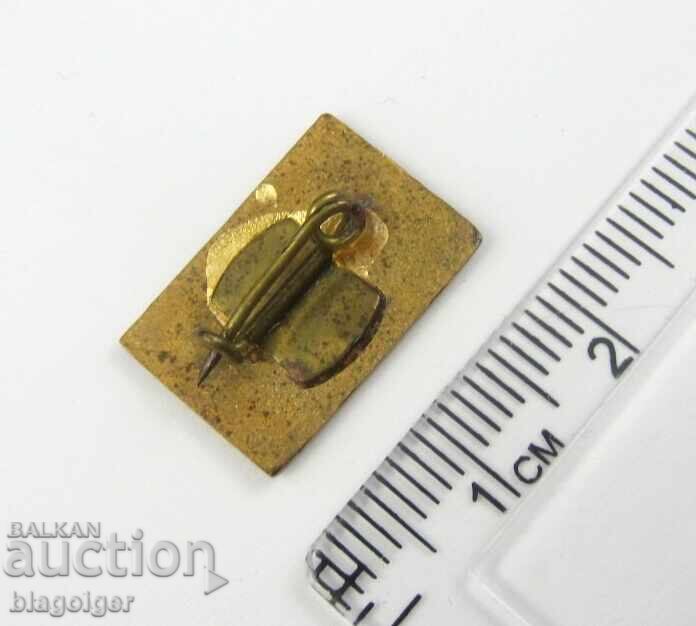 Auction  Social Bulgaria-Propaganda badge for peace-Enamel