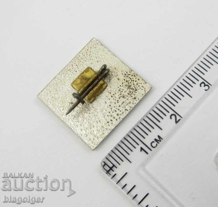 Delivery of Excellent Artist of the Amateur Arts - Burgas-Sots Award Delivery of Excellent Artist of the Amateur Arts - Burgas-Sots Award