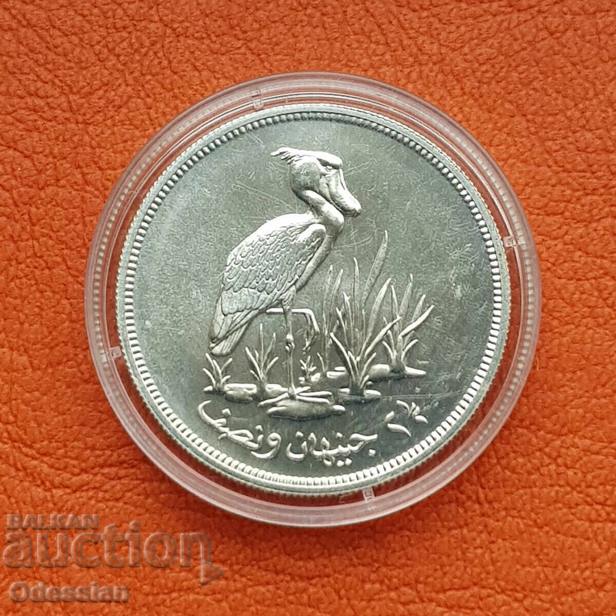 Судан • 2 и 1/2 паунда • 1976 • Китоглав щъркел