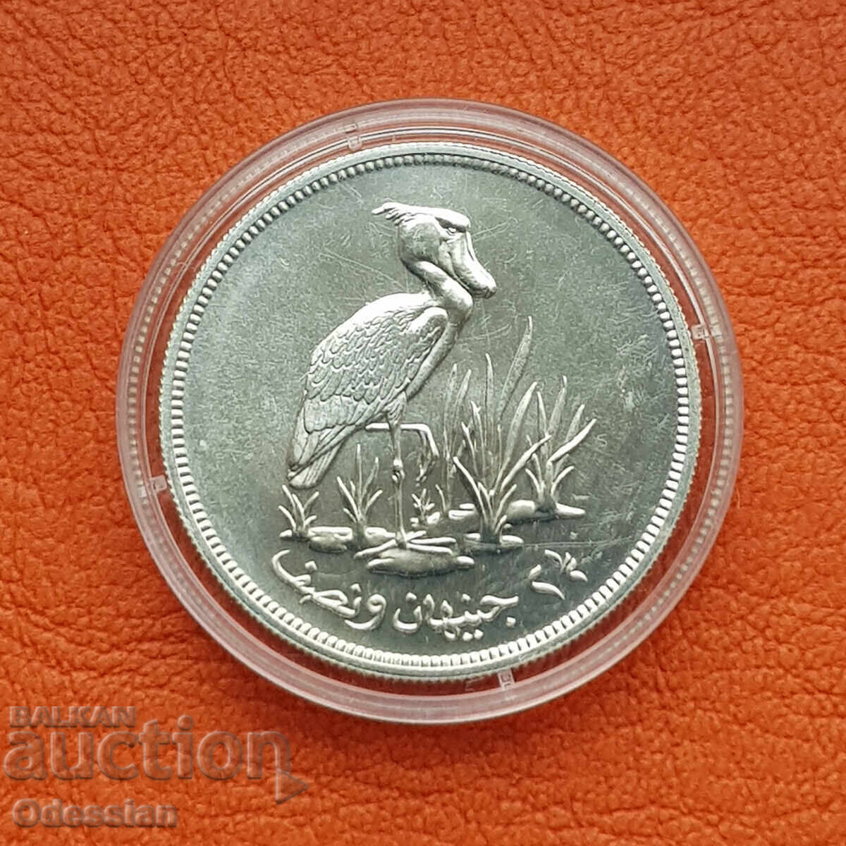 Судан • 2 и 1/2 паунда • 1976 • Китоглав щъркел
