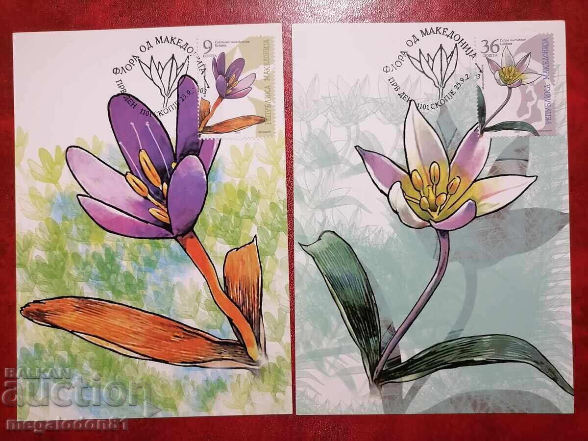 Republic of Macedonia - flora Republic of Macedonia - flora