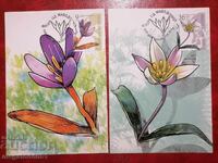 Republic of Macedonia - flora