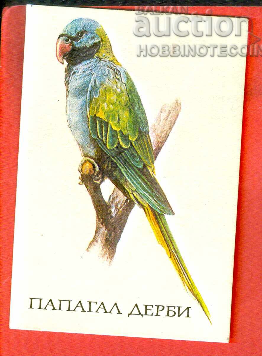 CALENDAR - Papagal - DERBY - 1990 CALENDAR - Papagal - DERBY - 1990