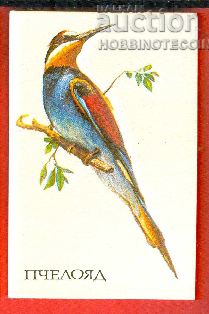 CALENDAR - BIRD - BEE EATER - 1990 CALENDAR - BIRD - BEE EATER - 1990