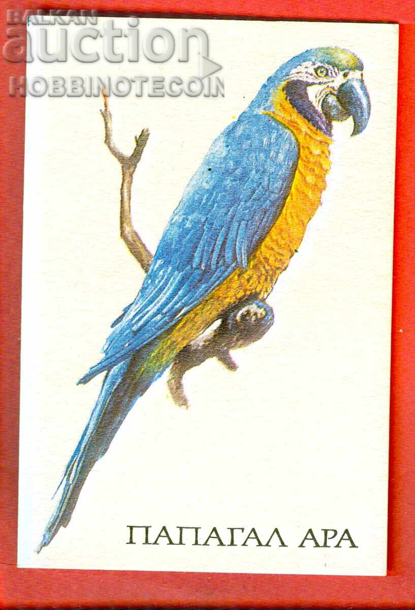 CALENDAR - Papagal - MACAWN - 1990 CALENDAR - Papagal - MACAWN - 1990