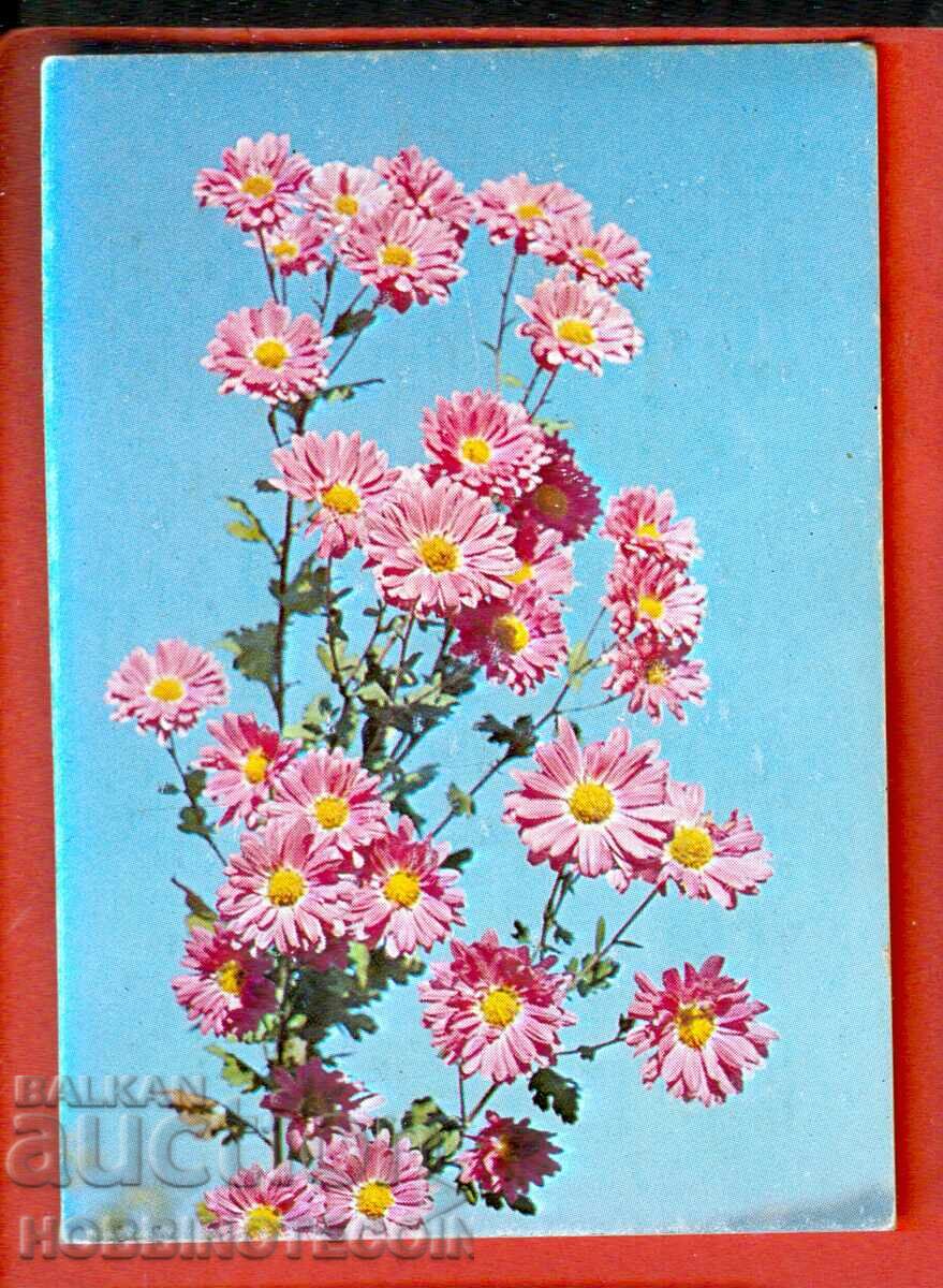CALENDAR - CHRYSANTHEMUM FLOWER - 1991 CALENDAR - CHRYSANTHEMUM FLOWER - 1991