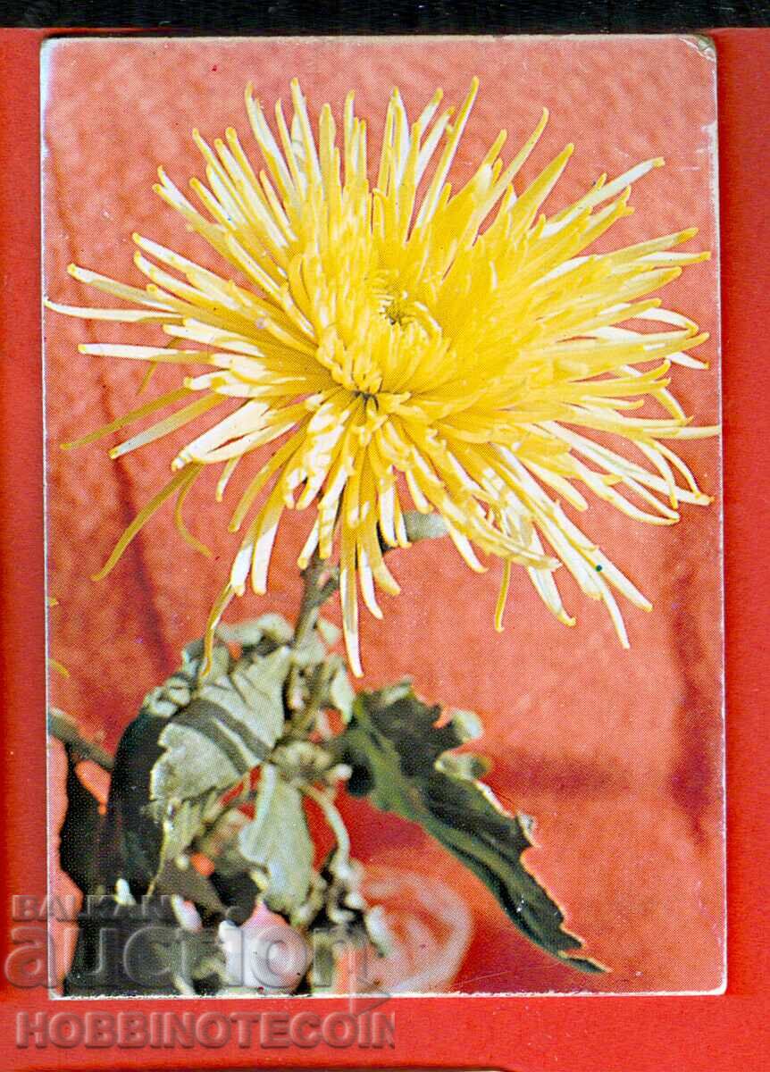 CALENDAR - CHRYSANTHEMUM FLOWER - 1991 CALENDAR - CHRYSANTHEMUM FLOWER - 1991