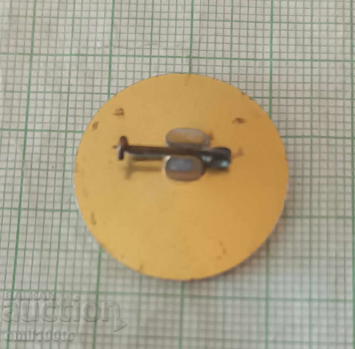 Delivery of Badge - Customs Cooperation Council Varna 1981