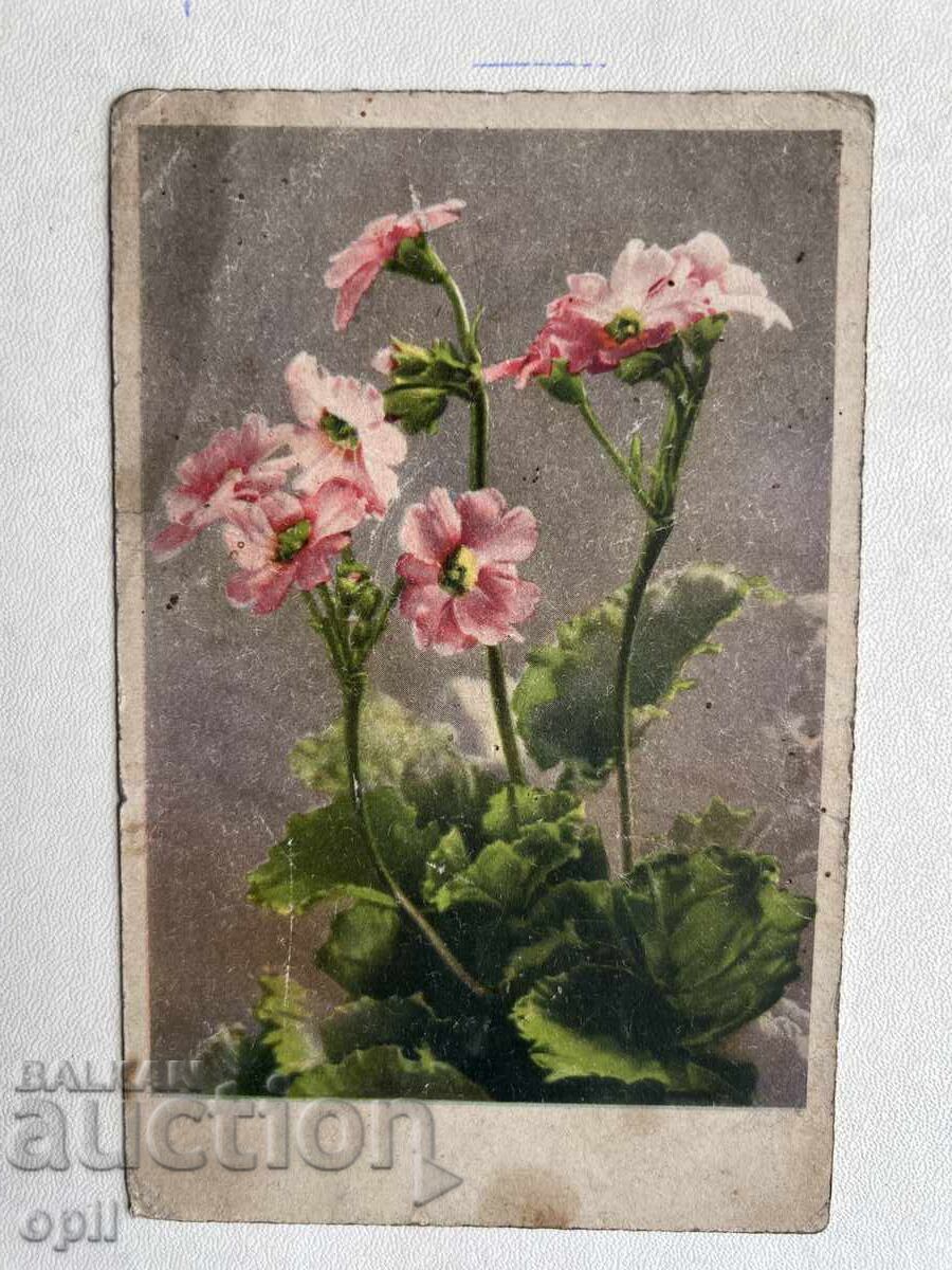 Carte veche - Flori Carte veche - Flori