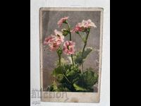 Old Card - Flowers