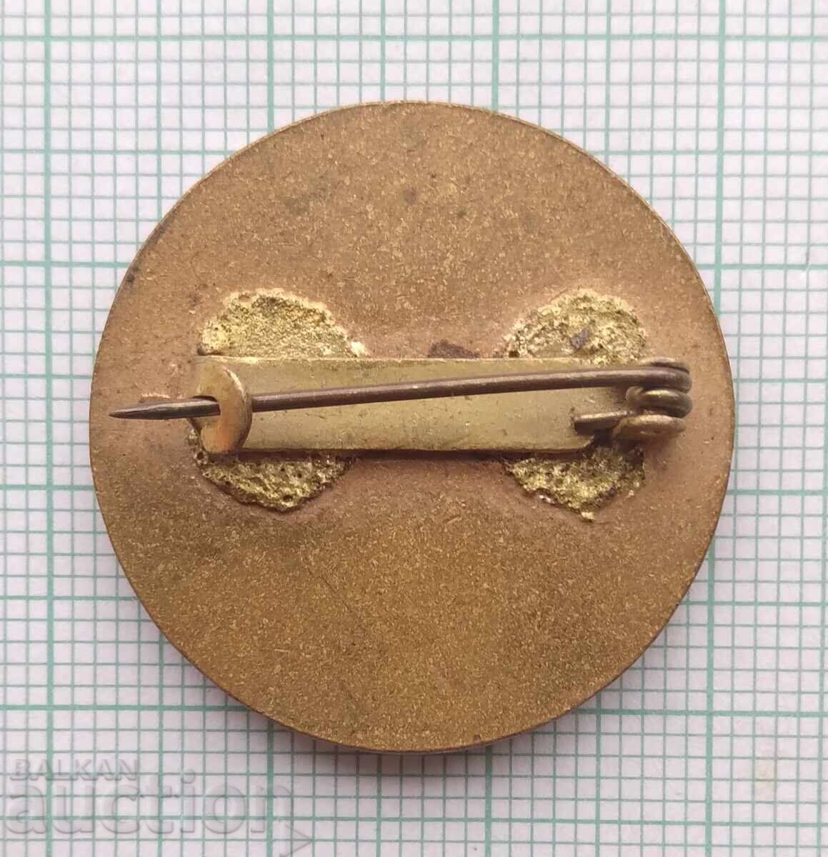 Licitație 18416 Insigna - Tabăra de pionieri Cehoslovacia Licitație 18416 Insigna - Tabăra de pionieri Cehoslovacia