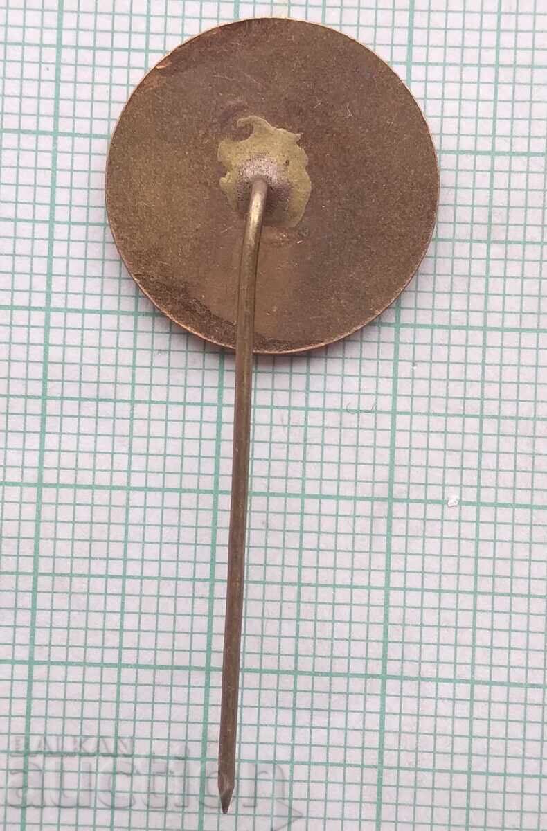 Licitație 18417 Insigna - Târgul Plovdiv - email bronz Licitație 18417 Insigna - Târgul Plovdiv - email bronz