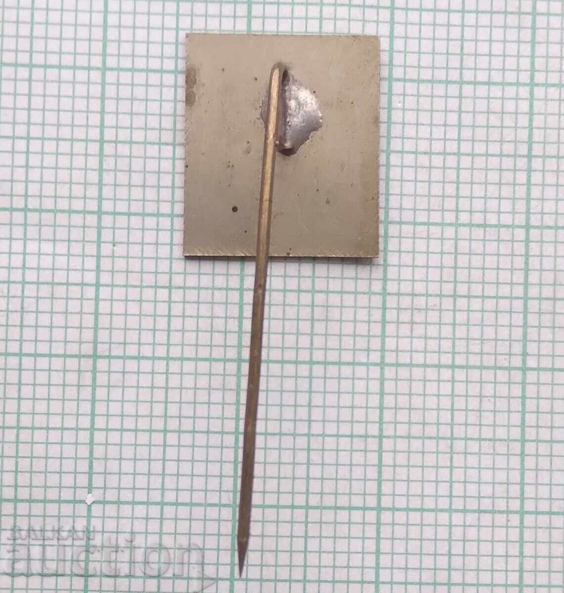 Auction 18421 Badge - Conservationist Auction 18421 Badge - Conservationist