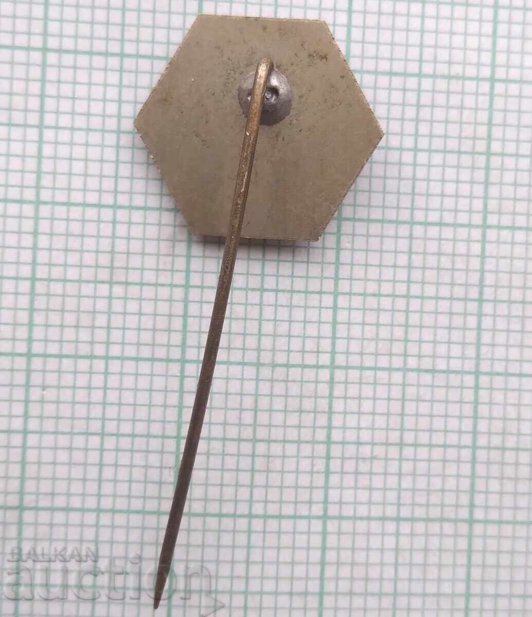 Auction 18422 Badge Auction 18422 Badge