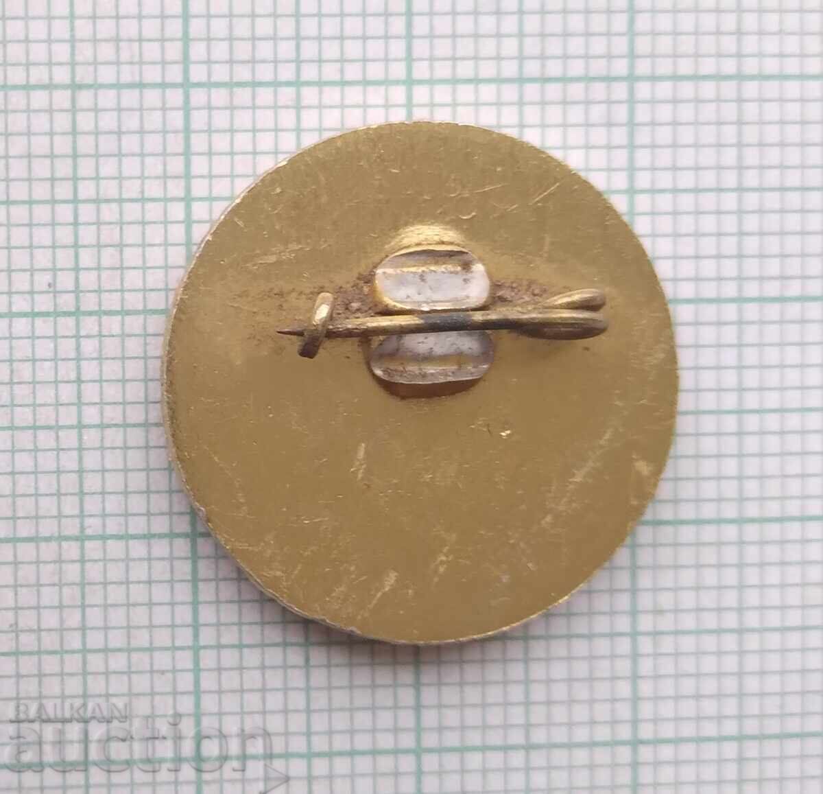 Licitație 18423 Insigna - Pleven 1877 Panorama Pleven