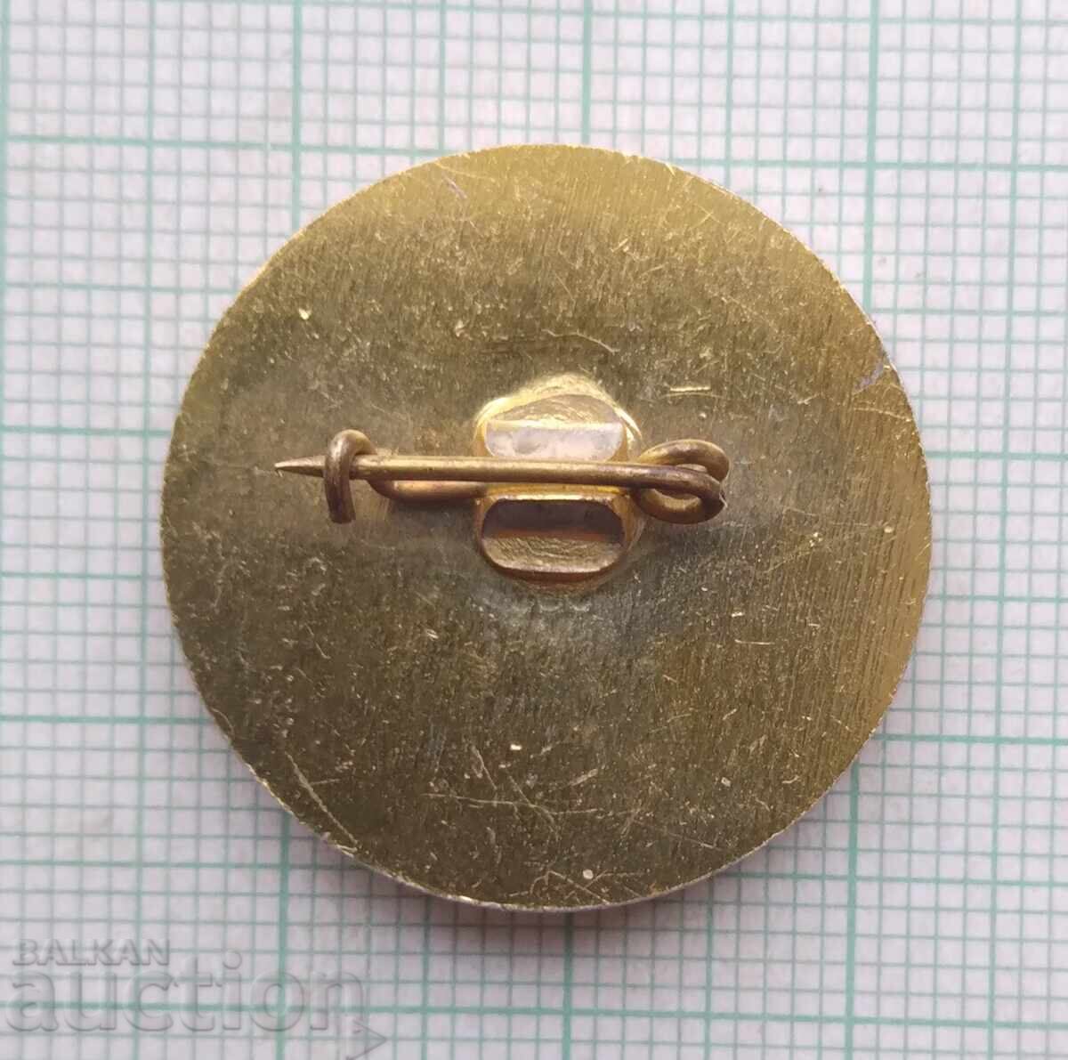 Licitație 18445 Insigna - Festivalul Tineretului Moscova 1985 Licitație 18445 Insigna - Festivalul Tineretului Moscova 1985