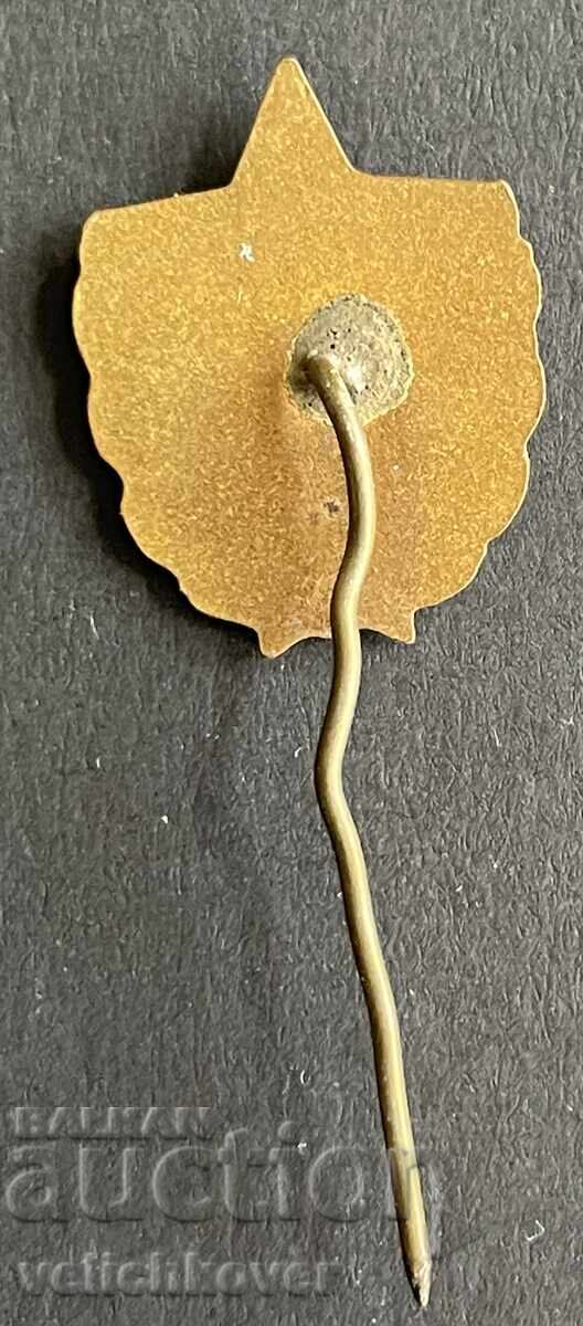 40279 Bulgaria sign VIF Higher Institute of Physical Education enamel 60 with price 4.00 BGN | € 2.05 40279 Bulgaria sign VIF Higher Institute of Physical Education enamel 60 with price 4.00 BGN | € 2.05