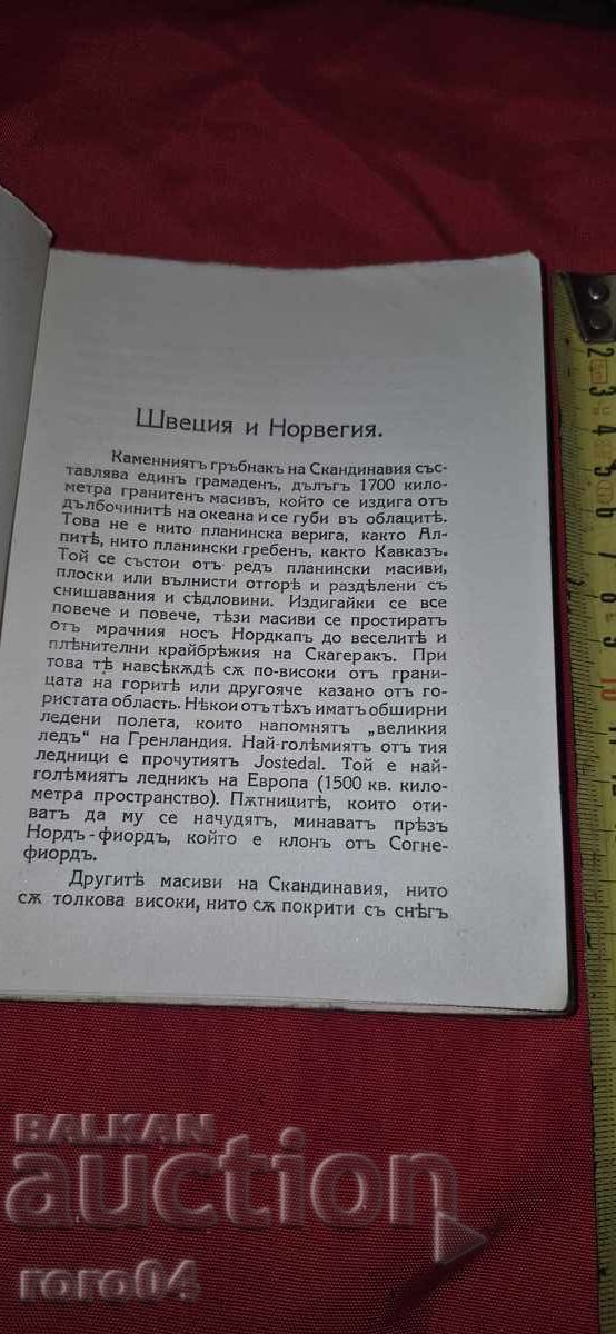 Auction SWEDEN AND NORWAY - SERGEY MECH Auction SWEDEN AND NORWAY - SERGEY MECH