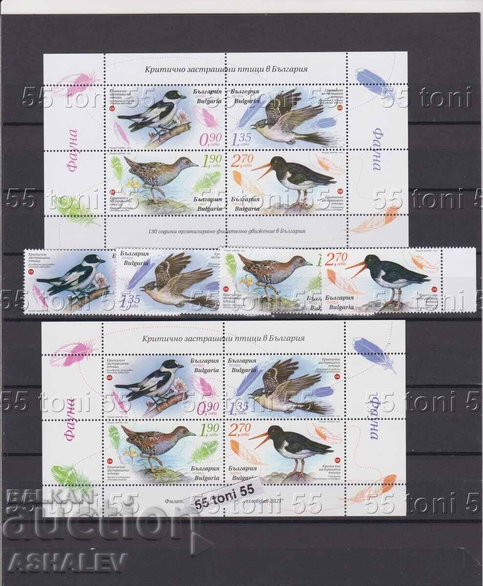 2023 Fauna Birds 4 stamps +2 blocks norm.+Uv.thread** 2023 Fauna Birds 4 stamps +2 blocks norm.+Uv.thread**