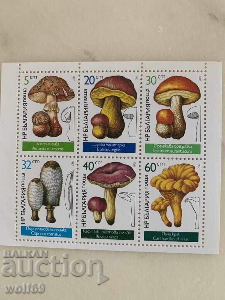 Block, stamp-Edible mushrooms (not serrated at the bottom)-1987. Block, stamp-Edible mushrooms (not serrated at the bottom)-1987.