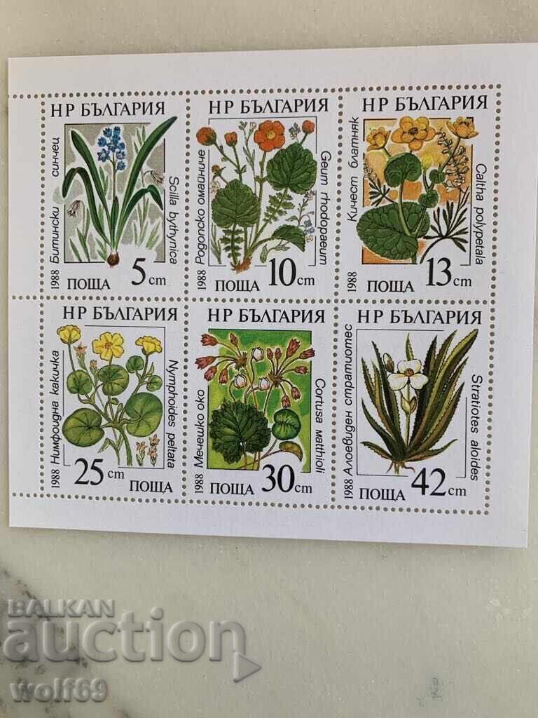 Bloc, ștampilă-Flori de apă (fără nume în dreapta)-1988. Bloc, ștampilă-Flori de apă (fără nume în dreapta)-1988.