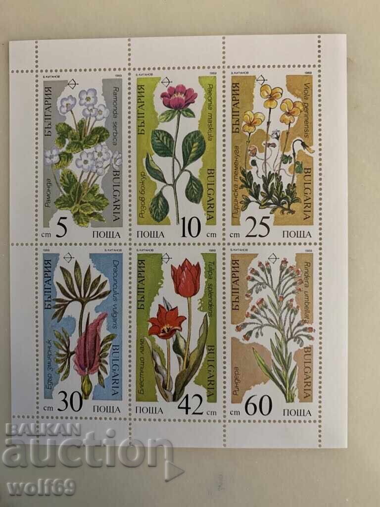 Μπλοκ, γραμματόσημο - Φυτά σε κίνδυνο εξαφάνισης - 1989. Μπλοκ, γραμματόσημο - Φυτά σε κίνδυνο εξαφάνισης - 1989.