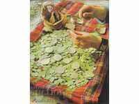 DESPRE CE SUNT MONEDELE