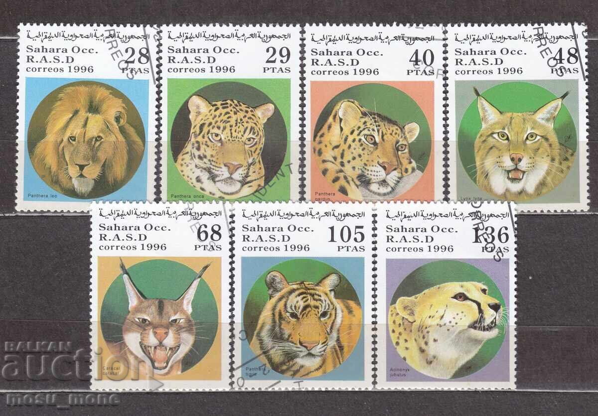 Western Sahara 1996 Sahrawi Arab Democratic Republic Western Sahara 1996 Sahrawi Arab Democratic Republic