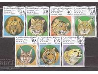 Западна Сахара 1996 Сахарската арабска демократична републик