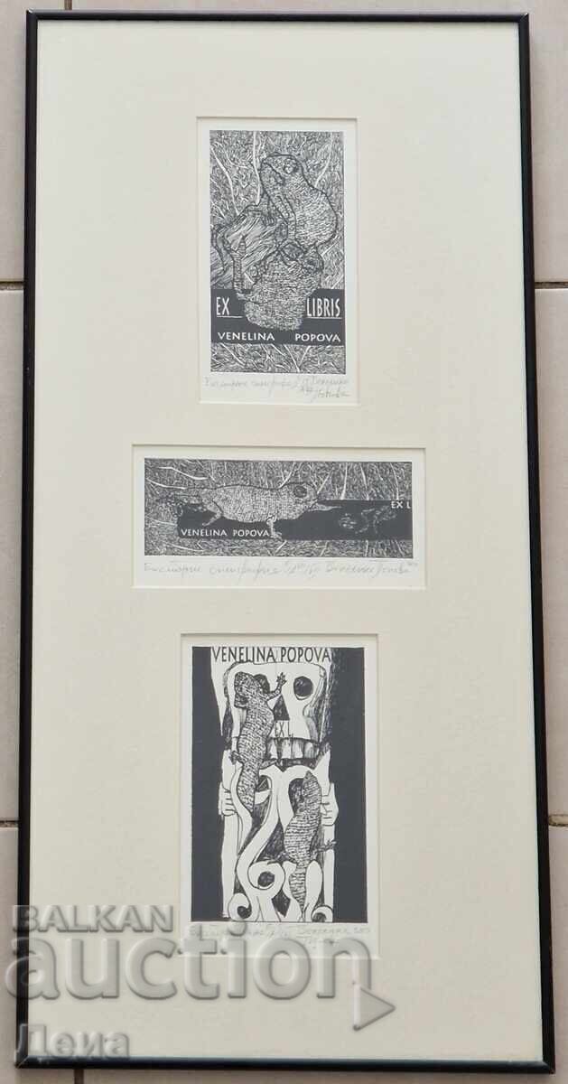 Venelina Popova three graphics in one frame 2010 Venelina Popova three graphics in one frame 2010