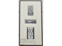 Venelina Popova trei grafice într-un cadru 2010