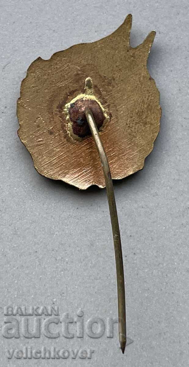 40309 Bulgaria badge Excellent Soldier of the Fatherland Front enamel with price 10.00 BGN | € 5.11 40309 Bulgaria badge Excellent Soldier of the Fatherland Front enamel with price 10.00 BGN | € 5.11