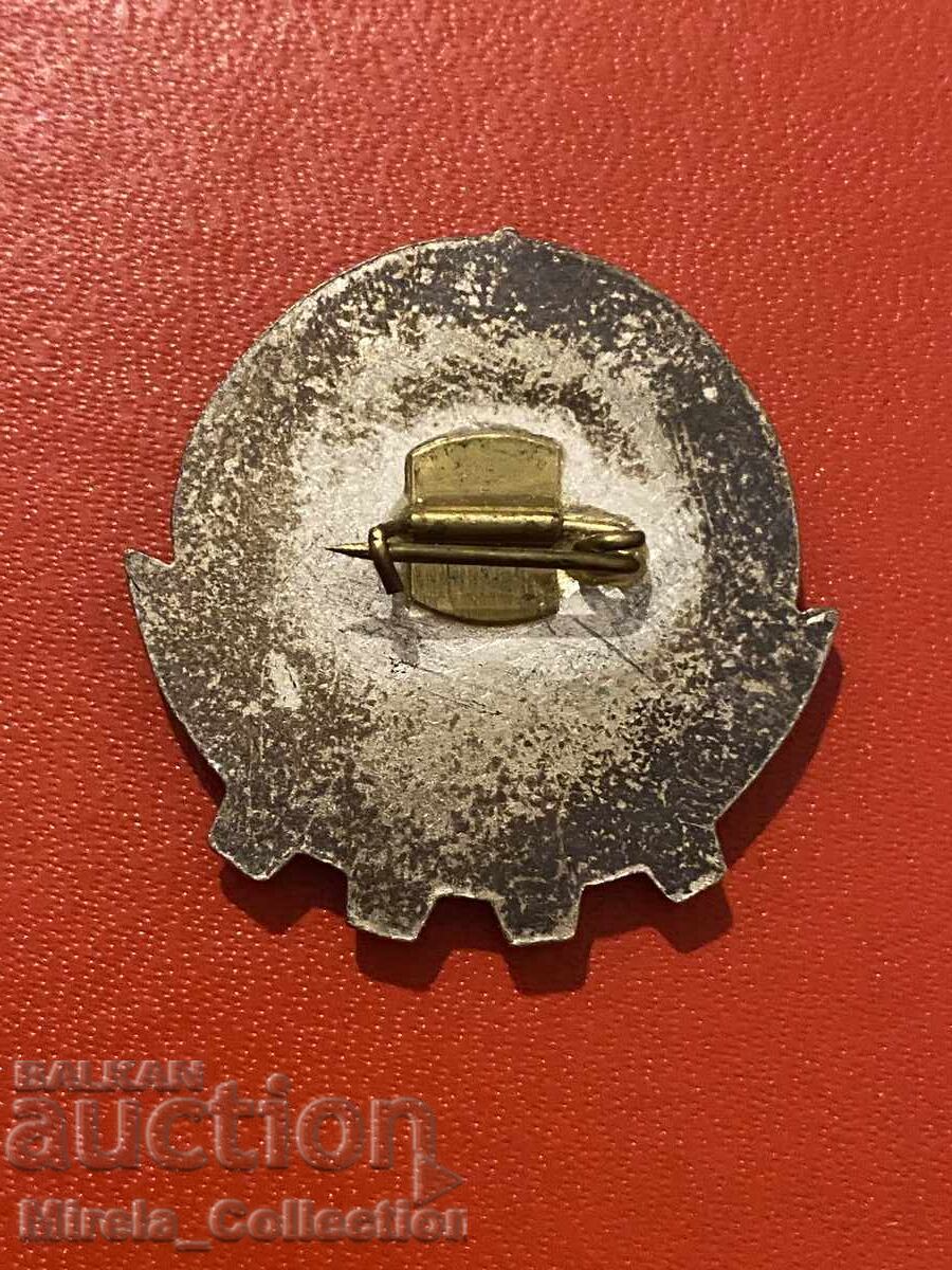 Delivery of Badge of excellence in physical education BSFS badge Delivery of Badge of excellence in physical education BSFS badge