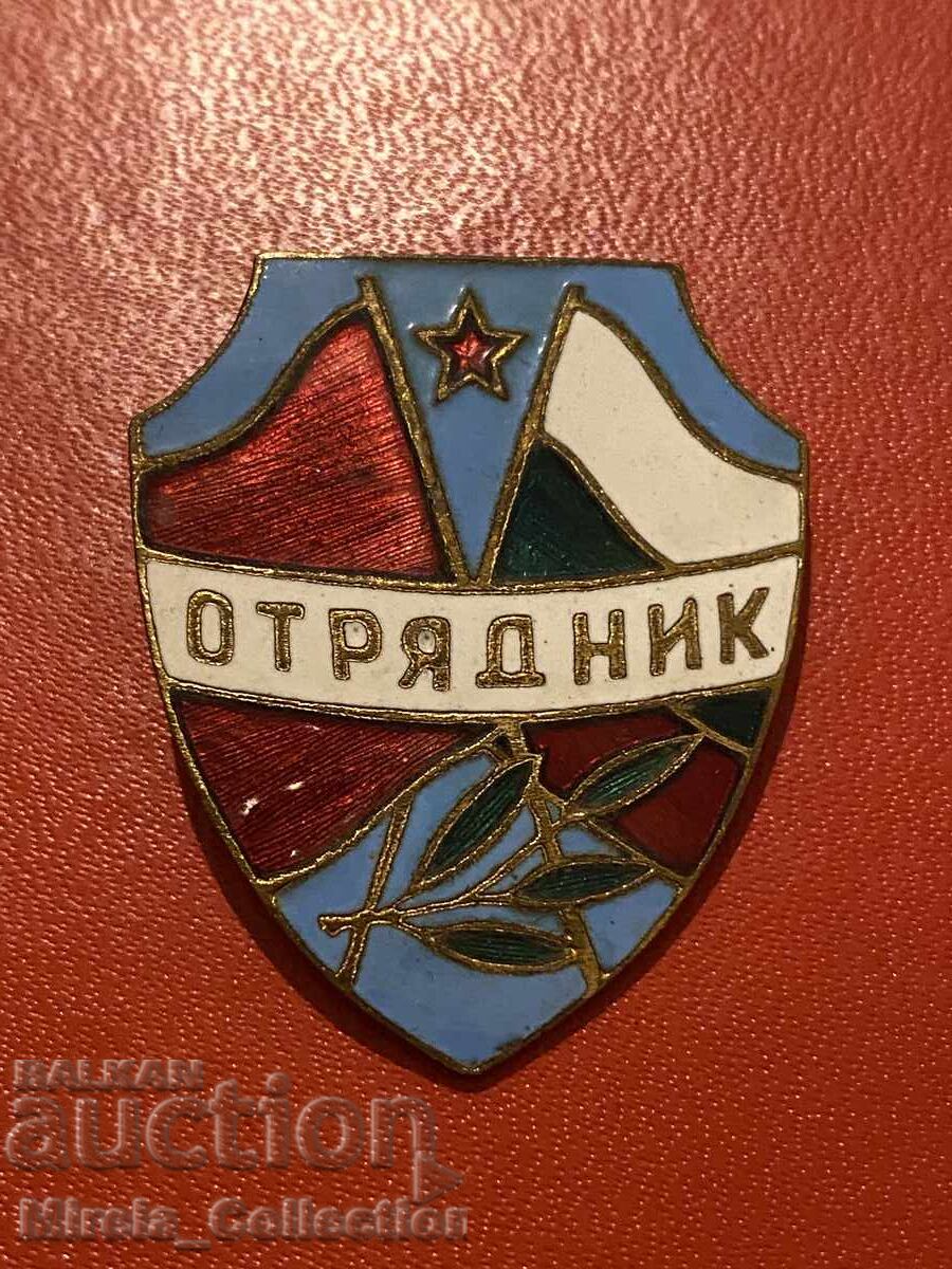 Auction Badge badge detachment MIA Auction Badge badge detachment MIA