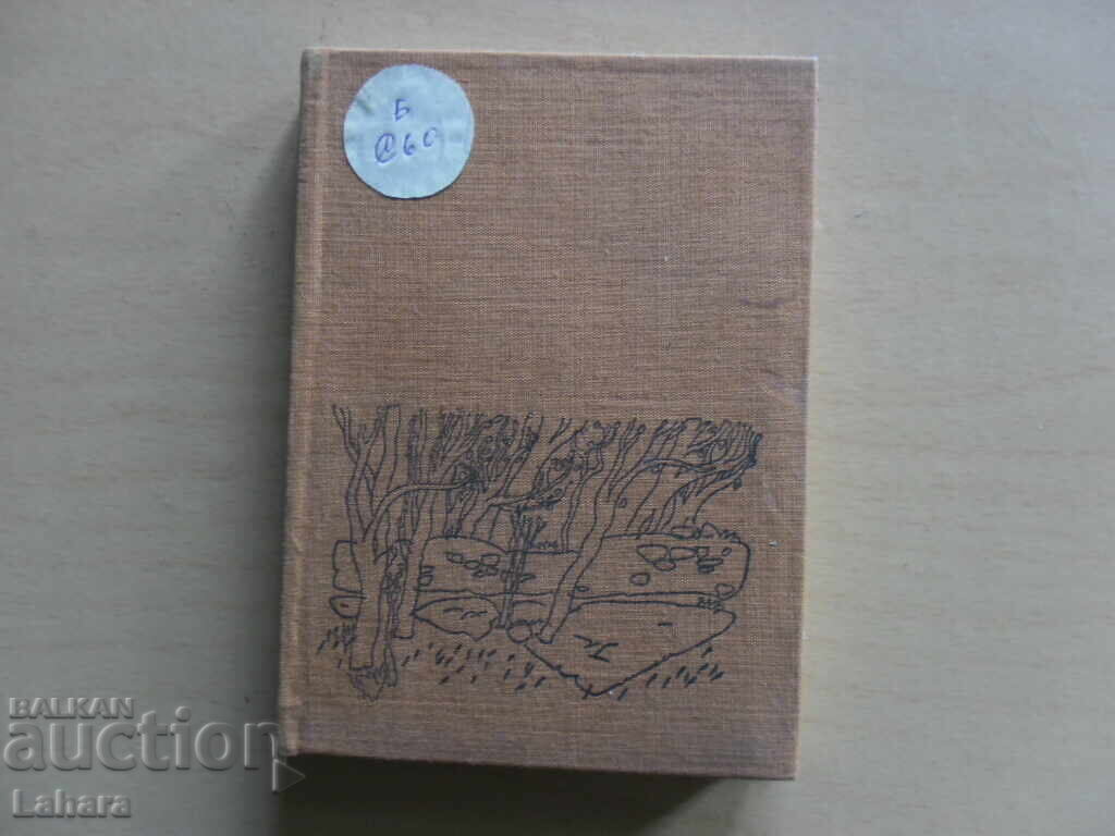 A World of Wonders, An Incredible Story - Zdravko Srebrov A World of Wonders, An Incredible Story - Zdravko Srebrov