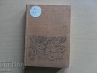 O lume de minuni, o poveste incredibilă - Zdravko Srebrov