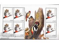 2010. Γουιάνα. Πτηνά - Δενδροκόπος ταγματάρχης.