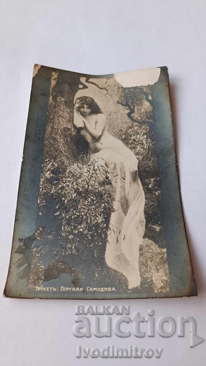Postcard Gorskaya Samodyva Postcard Gorskaya Samodyva