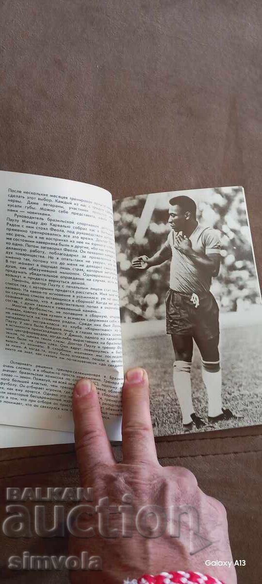 Auction Pele Auction Pele