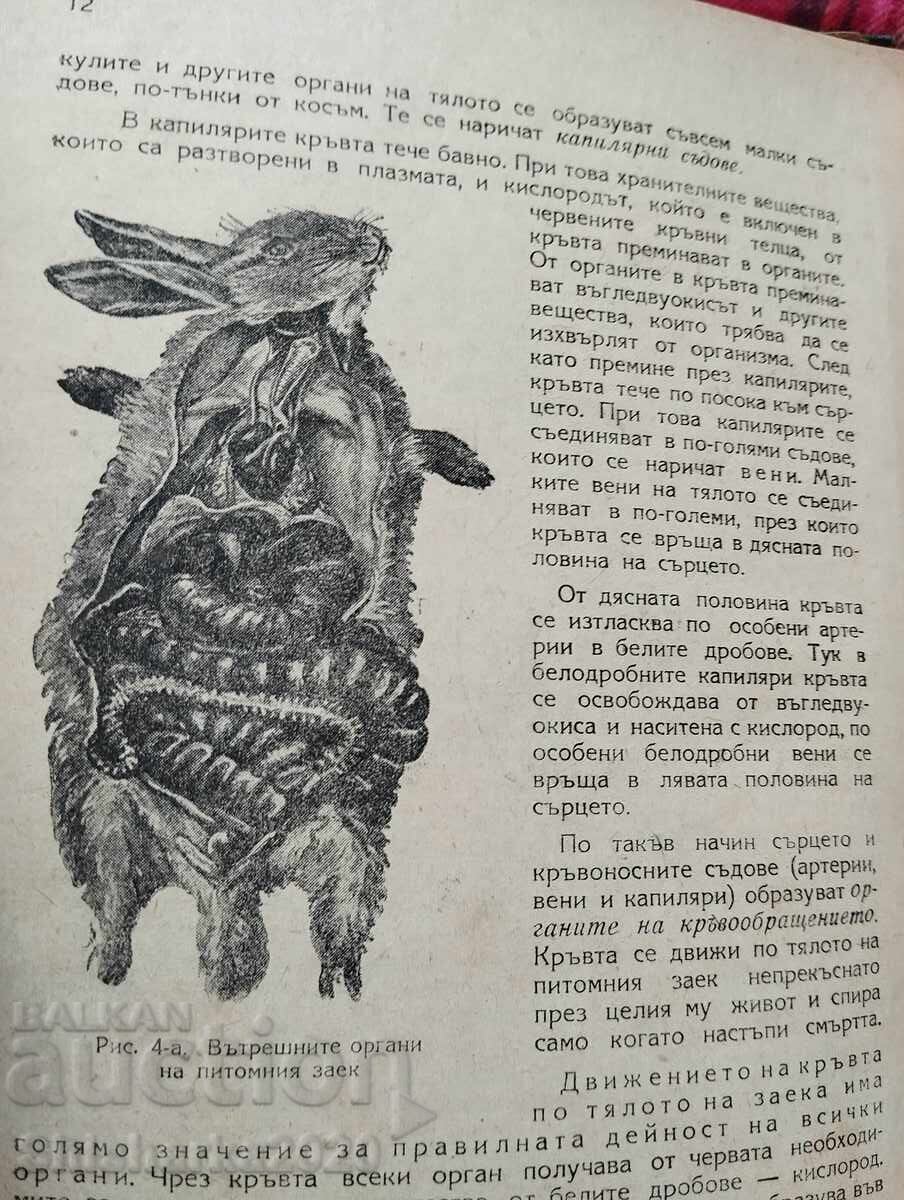 Зоология с цена 39.00 лв. | € 19.94