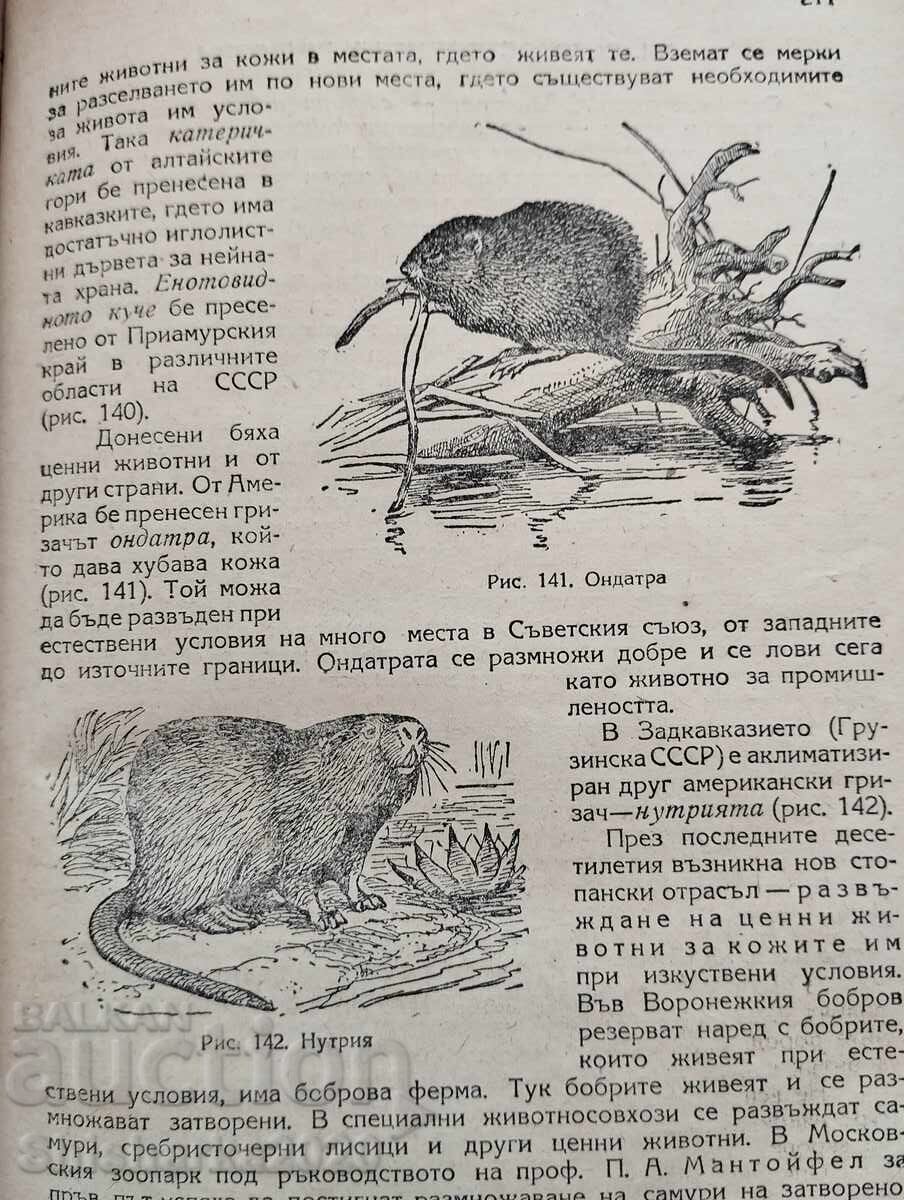 Доставка на Зоология