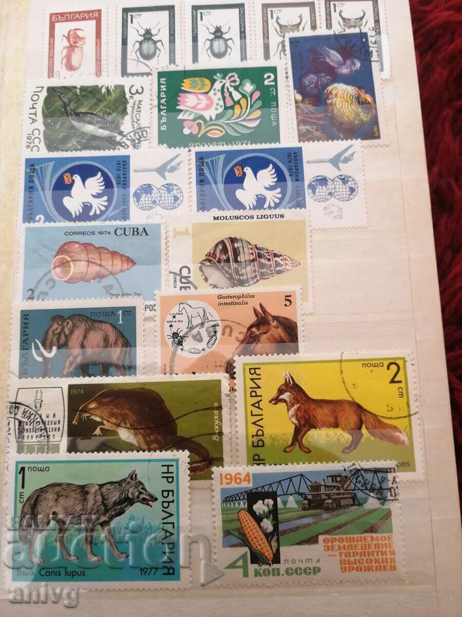 Класьор с марки 13 страници - 5