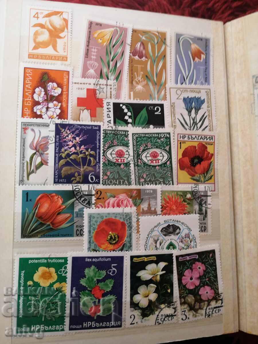 Stamp binder 13 pages - 6 Stamp binder 13 pages - 6