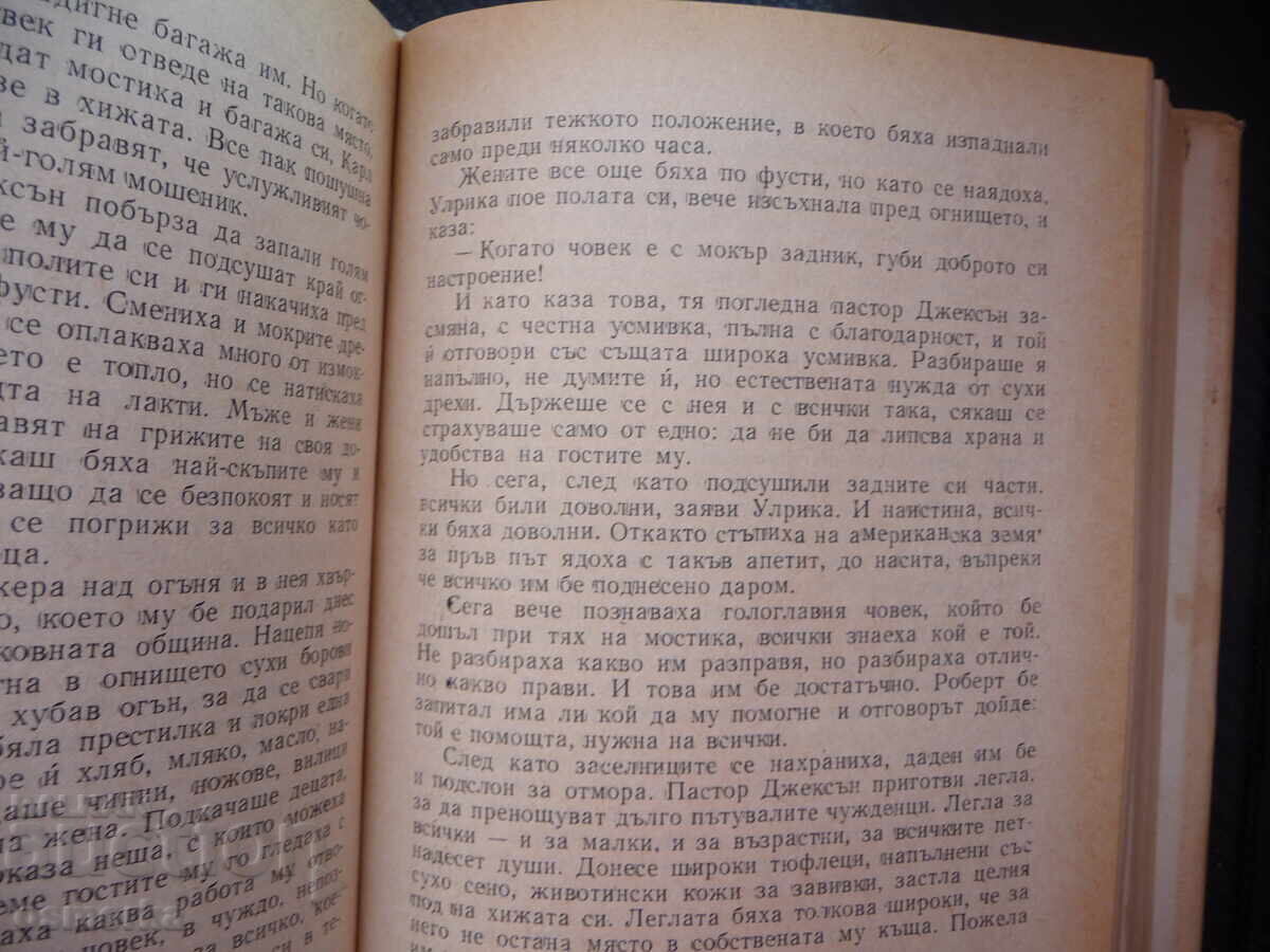 Auction Settlers Wilhelm Muberg emigrants to America New World Auction Settlers Wilhelm Muberg emigrants to America New World