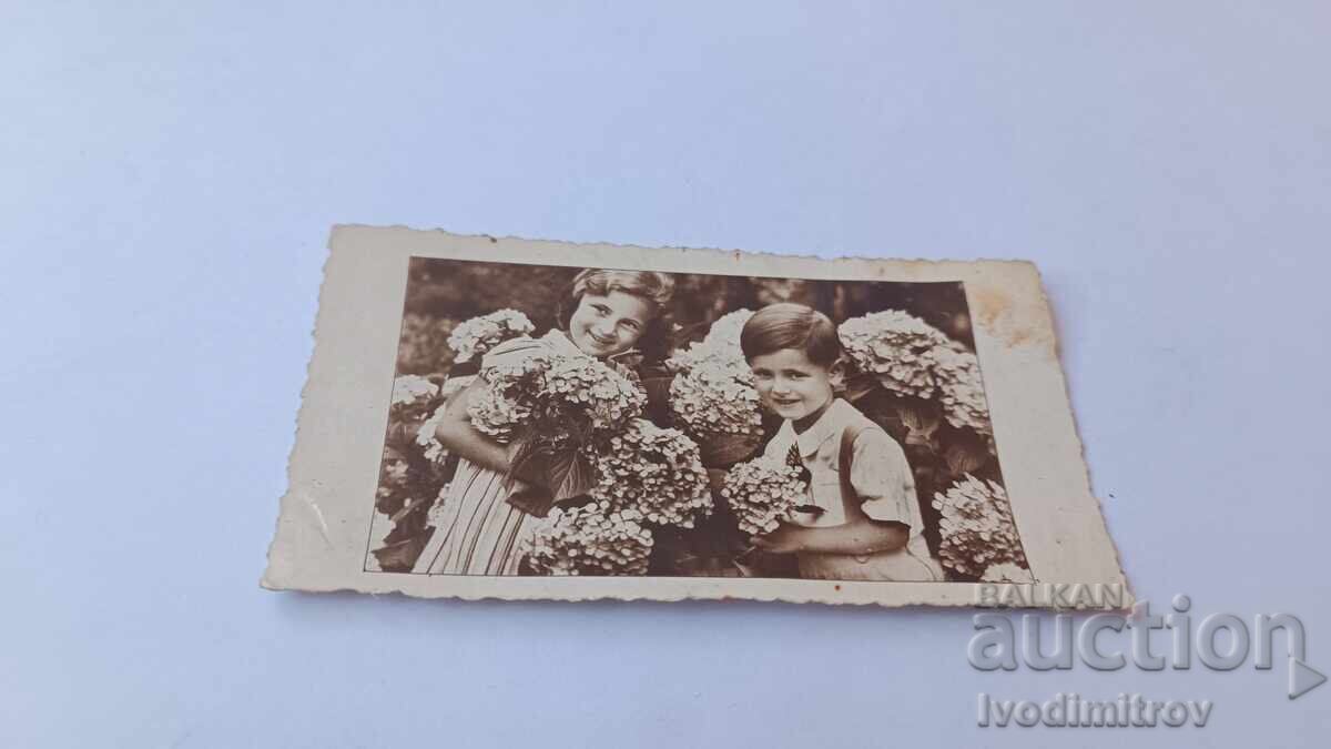 Felicitare Felicitare