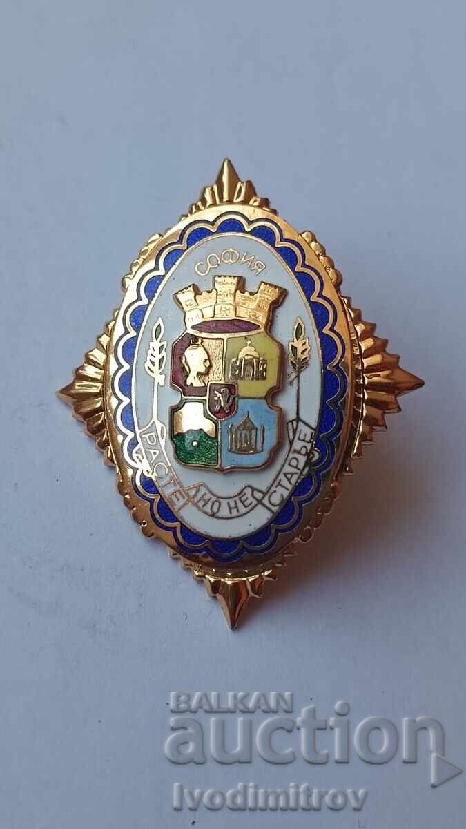 Sofia badge Grows but doesn't age - gold Sofia badge Grows but doesn't age - gold