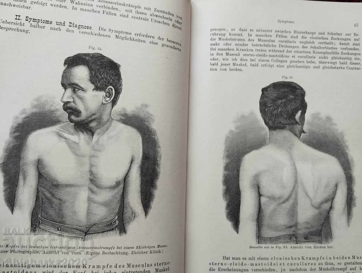 Handbuch der speschenlen pathology und therapie 1-4 - 5