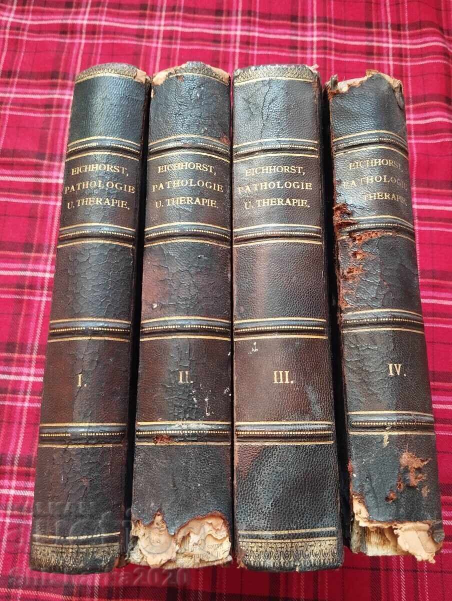 Handbuch der speschenlen pathology und therapie 1-4