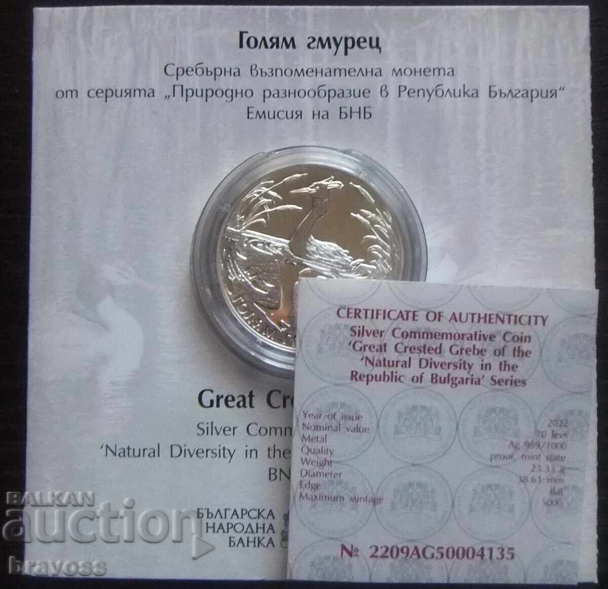 Bulgaria - BGN 10, 2022 - Big grebe with price 169.99 BGN | € 86.91